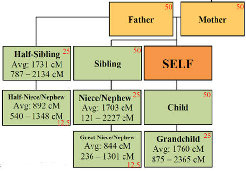 Range of shared DNA for different relationships.