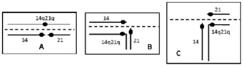 Translocation.