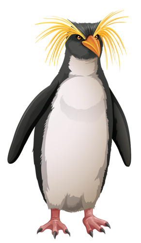 Macaroni Penguin