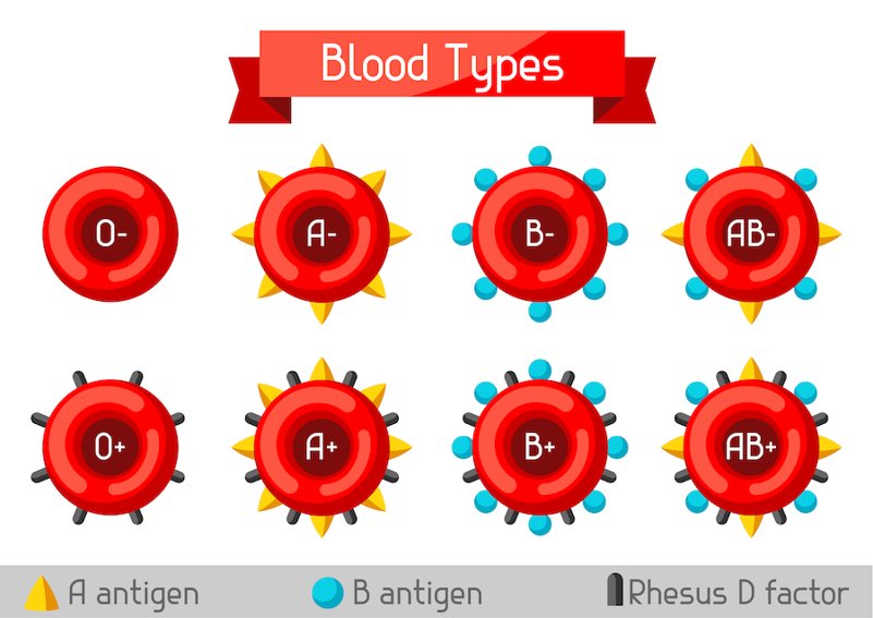 O Positive Blood Type Marker