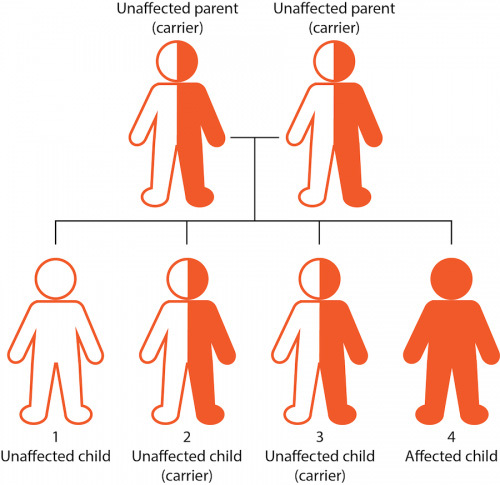 Can you marry a second cousin? What about a first cousin or half ...