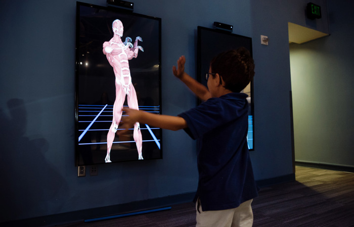 body worlds virtual tour