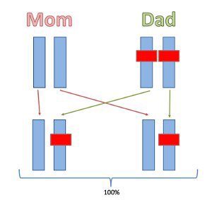 Recessive inheritance