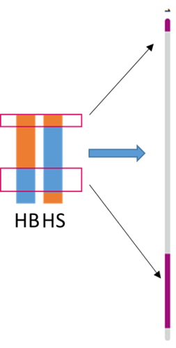 Chromosome 1 of half-siblings compared to 23andMe shared DNA test results.