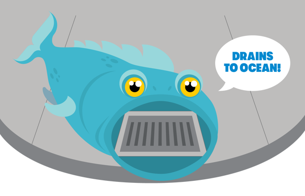 Storm drain illustration of fish with storm drain mouth.
