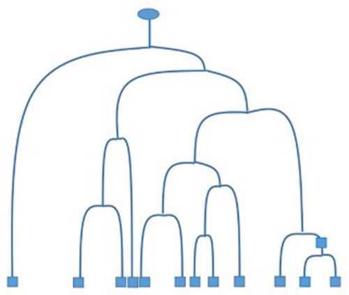 Phylogenetic tree.