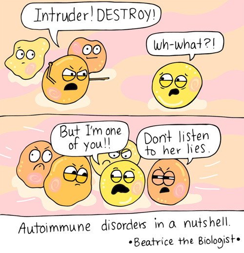 A comic illustration of autoimmune disorders in a nutshell.