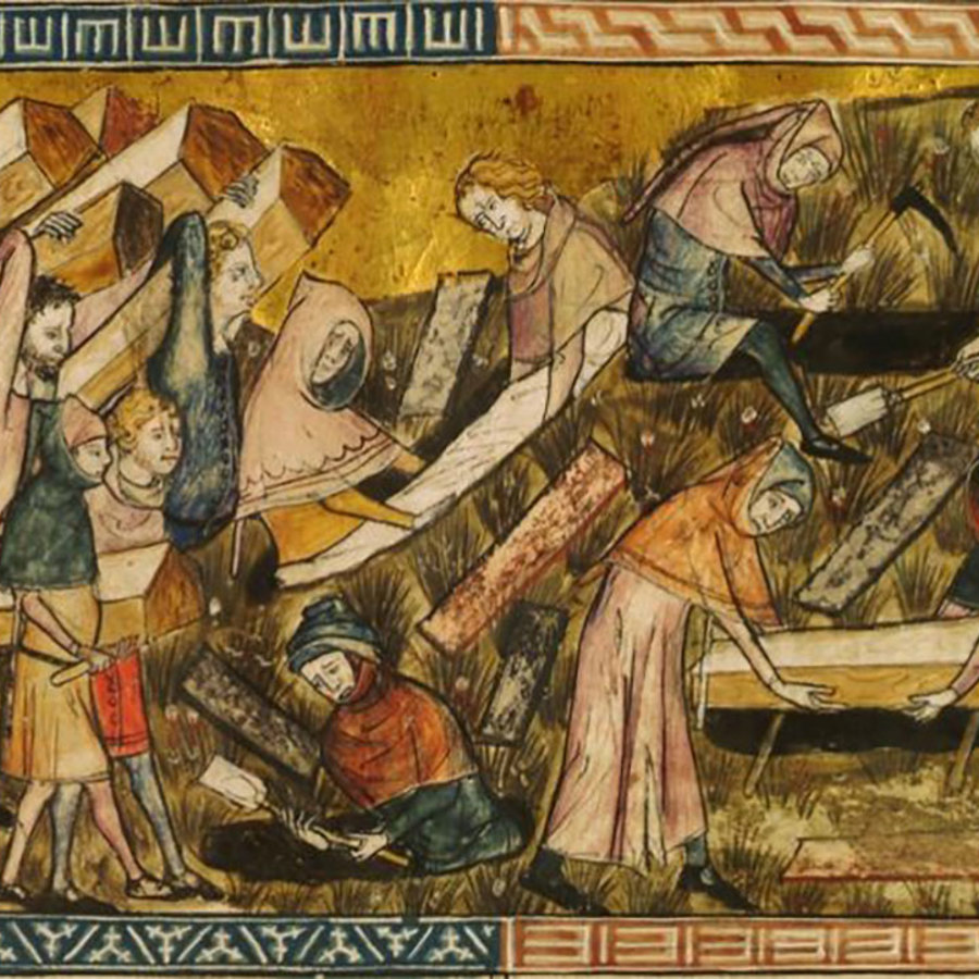 How Black Death survivors gave their descendants a genetic edge