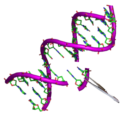 DNA editing