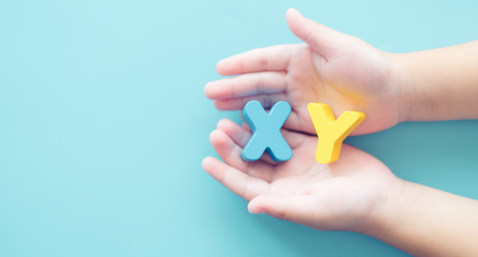 Hands holding X and Y blocks.
