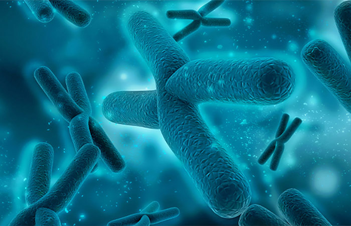 3D rendering chromosomes.
