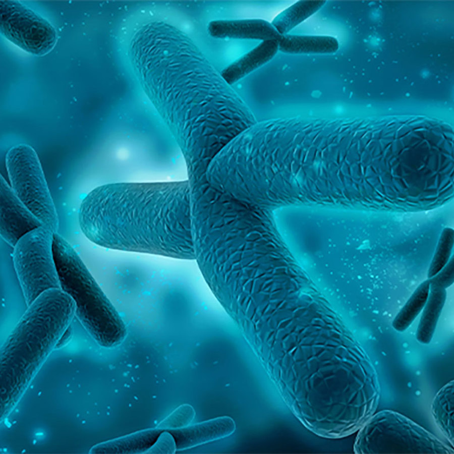 3D rendering chromosomes.