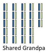 Grandpa’s DNA.