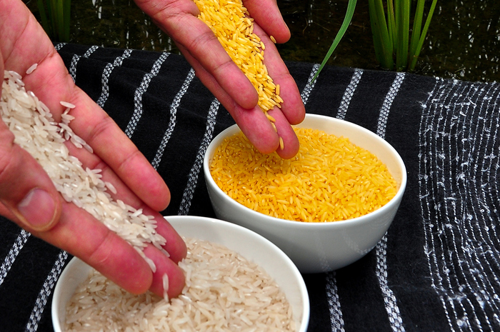 Golden rice.