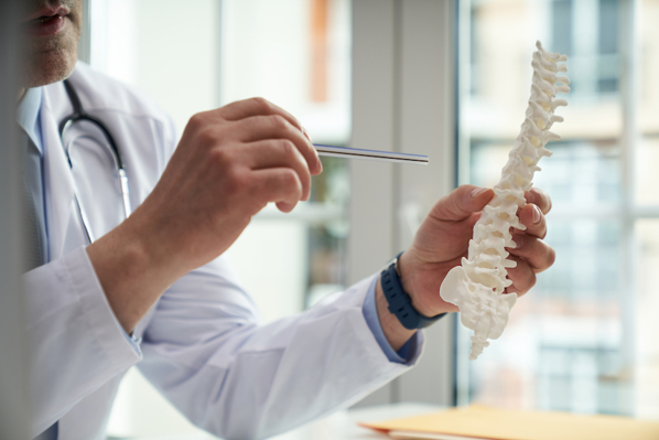 Doctor with spinal cord model