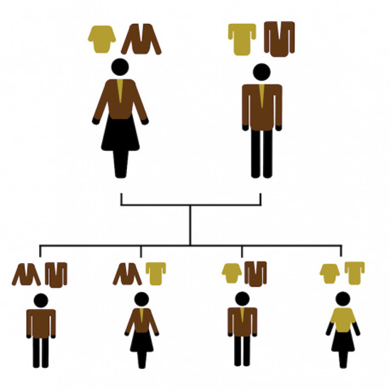 Family tree of two parents with blonde shirts under brunette jackets.