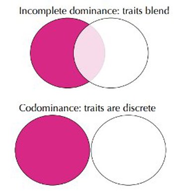Incomplete vs codominant.