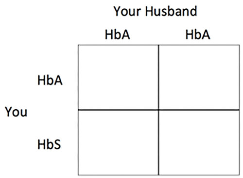 Empty punnett square.