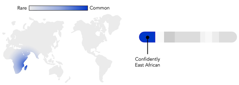A world map showing a color gradient, with dark blue centered in East Africa fading to gray in the rest of the world. It is accompanied by a cartoon chromosome where one portion is blue and labeled “Confidently East African.”