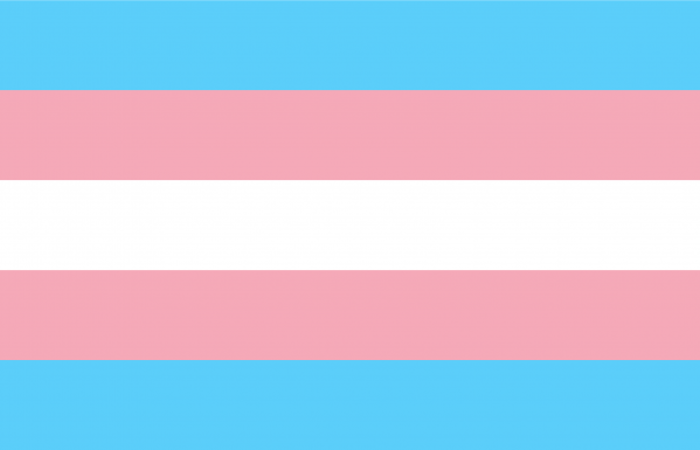 Transgender flag.