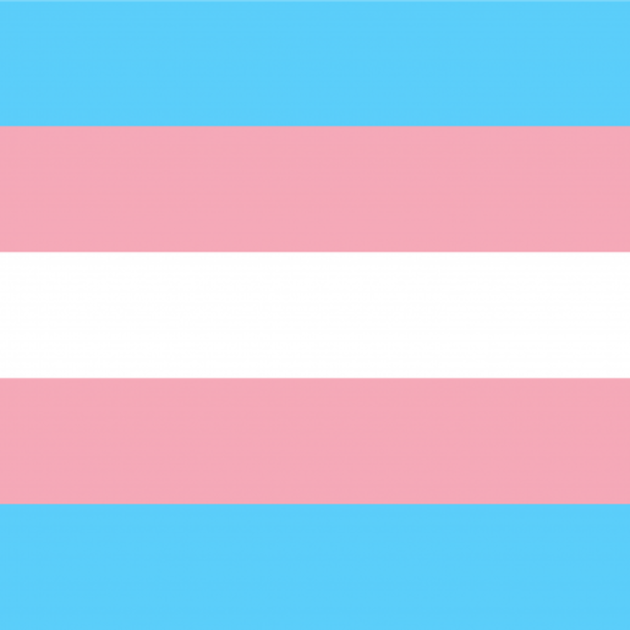 Transgender flag.