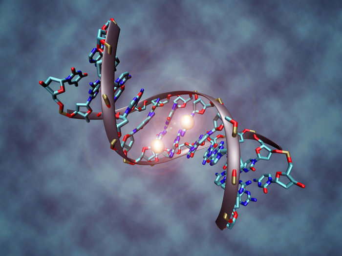 DNA with epigenetic marks.