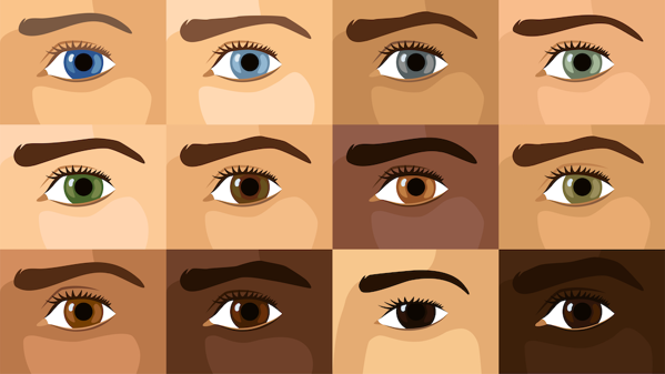 Blue eyed people related to single ancestor: Study Blue-eyed