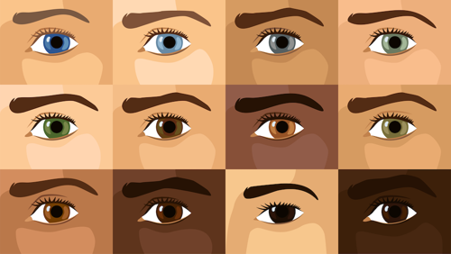 Image showing eyes with a wide range of eye colors, from light blue to dark brown.