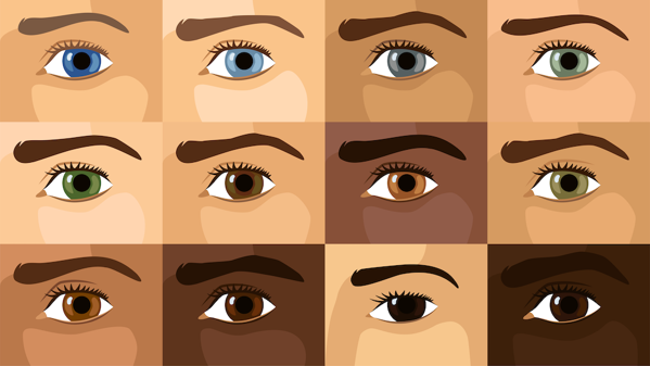 Illustration of different eyes close up.