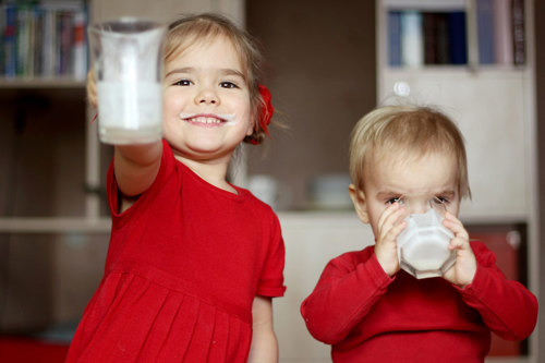 Toddlers happily drinking milk.