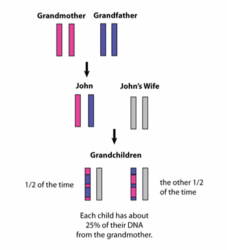 Inheritance from grandparents