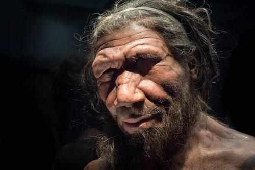 Neanderthal reconstruction