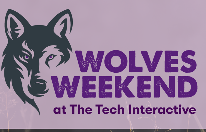 Wolves Weekend at The Tech Interactive