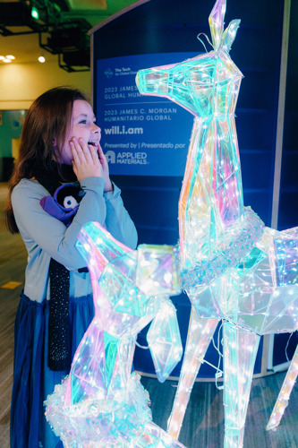 Girls looks in wonder at light-up deer