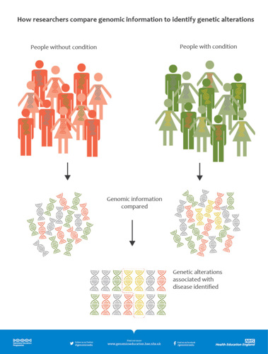 GWAS studies