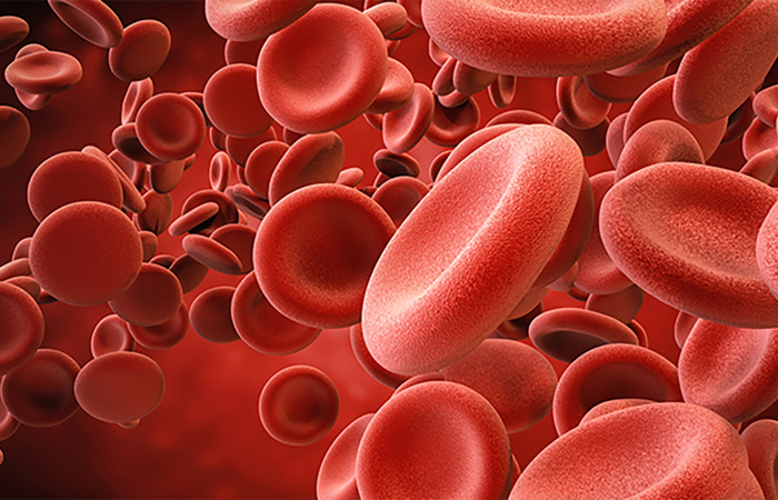 3D rendering of red blood cells.