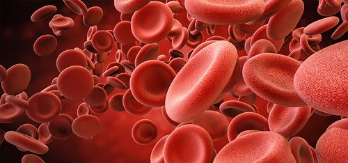 3D rendering of red blood cells.