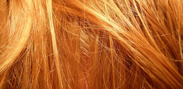 Red hair close up.