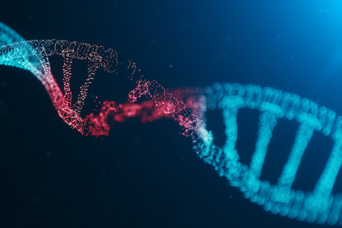 Mutated DNA helix