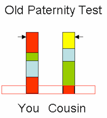 Paternity test