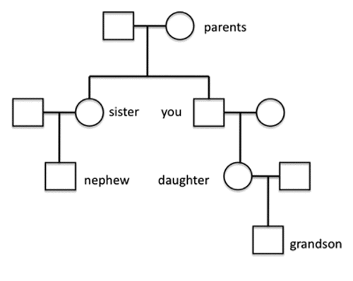 Pedigree chart.