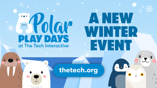 Cute polar animals at The Tech Interactive