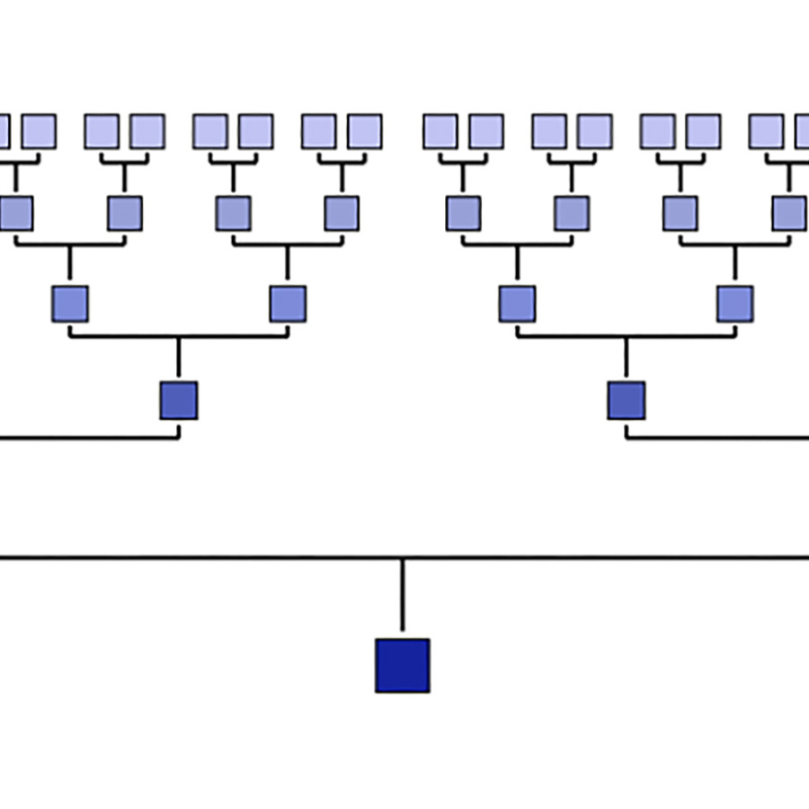 Sixth generation chart.