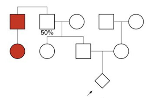 Pedigree with three generations in a single family. Two individuals are colored in red, with risk labeled for the grandfather.