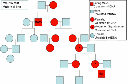 Pedigree chart