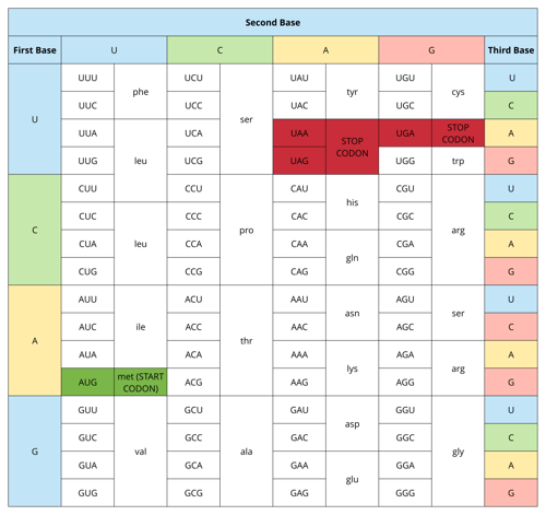 Codon table