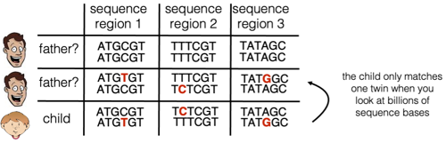 Sequence comparison