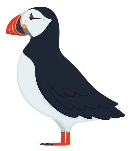 Atlantic Puffin