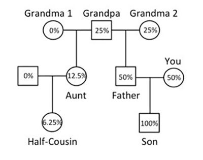 Family tree with half-cousins.