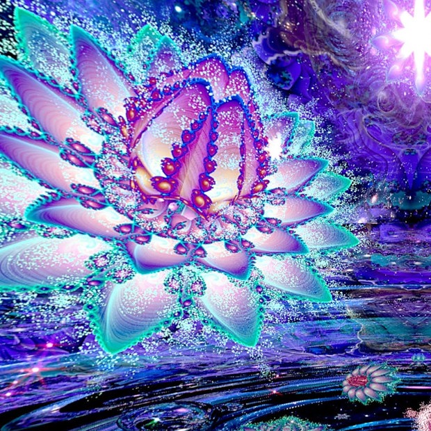 Beautifica still of a flower